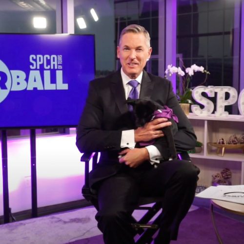 Podcasts Develop Your Brand – Candid Live Stream Photo of SPCA Fur Ball Podcasts Develop Your Brand - Candid Live Stream Photo of SPCA Fur Ball